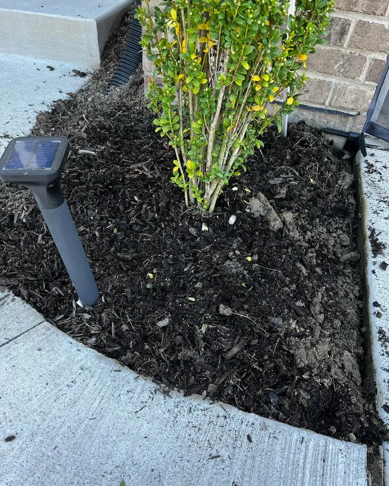 Top-rated lawn care service for outdoor upgrades across Detroit, MI - TLT Lawncare & Snow Removal