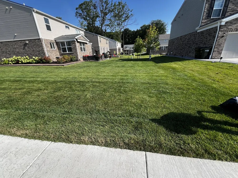 Trusted yard maintenance experts serving Detroit, MI - TLT Lawncare & Snow Removal