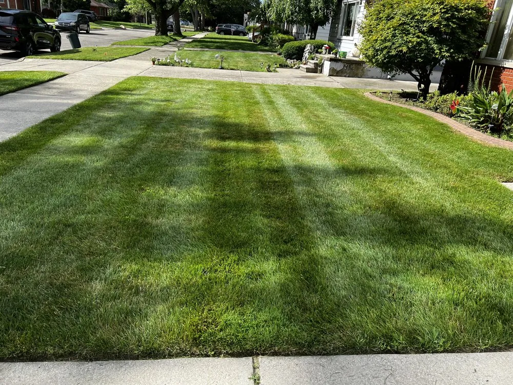 Professional landscape design in Detroit, MI - TLT Lawncare & Snow Removal