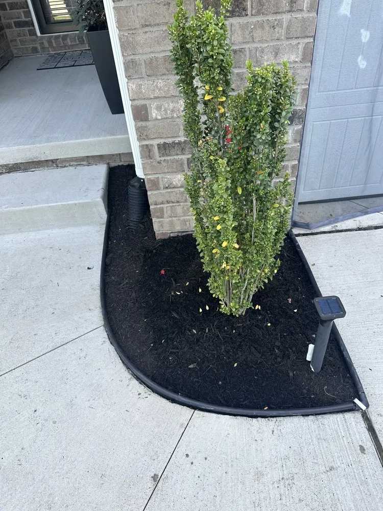 Affordable lawn mowing service experts serving Detroit, MI - TLT Lawncare & Snow Removal