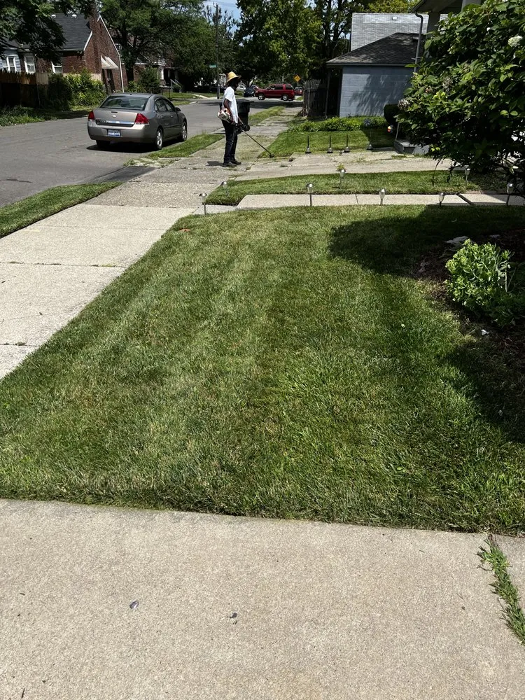 Top-rated residential landscaping in Detroit, MI - TLT Lawncare & Snow Removal