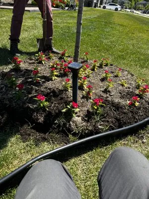 TLT Lawncare & Snow Removal Logo