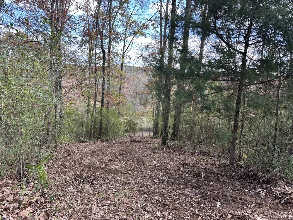 Top-rated residential landscaping for beautiful yards in Cullman, AL by T&M Brush Busters