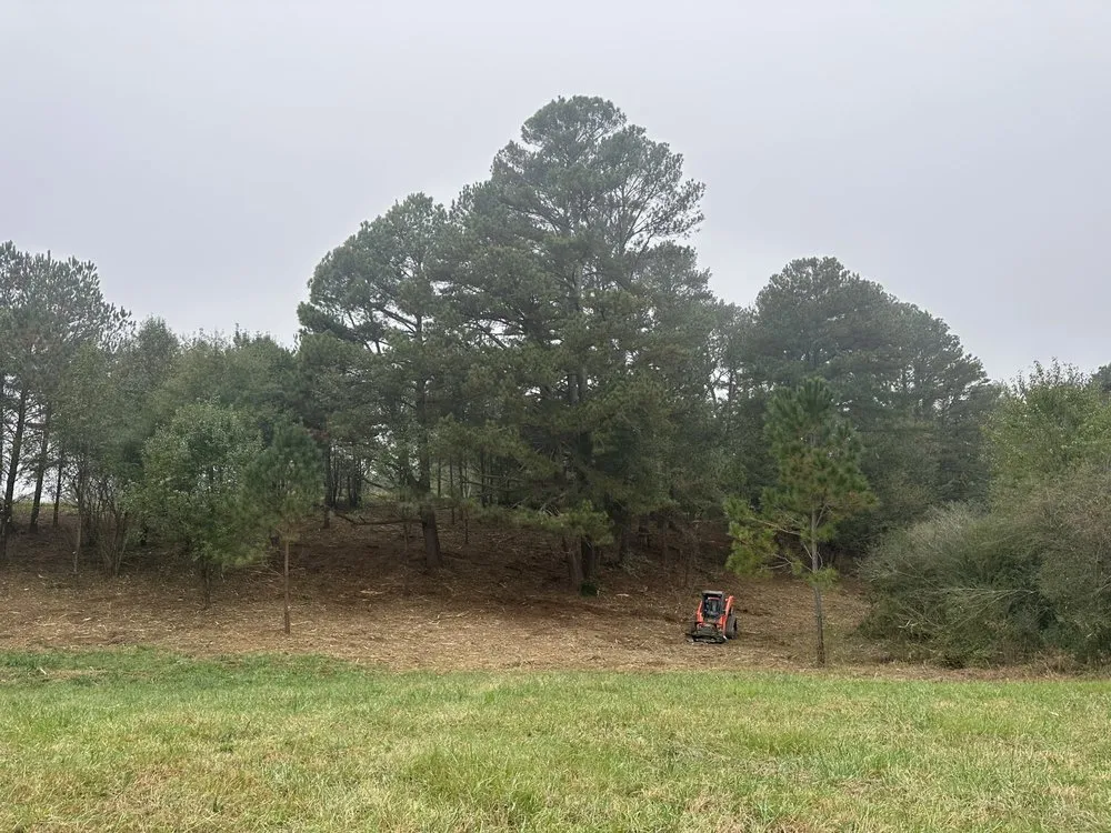 Trusted yard maintenance for residential properties in Cullman, AL by T&M Brush Busters