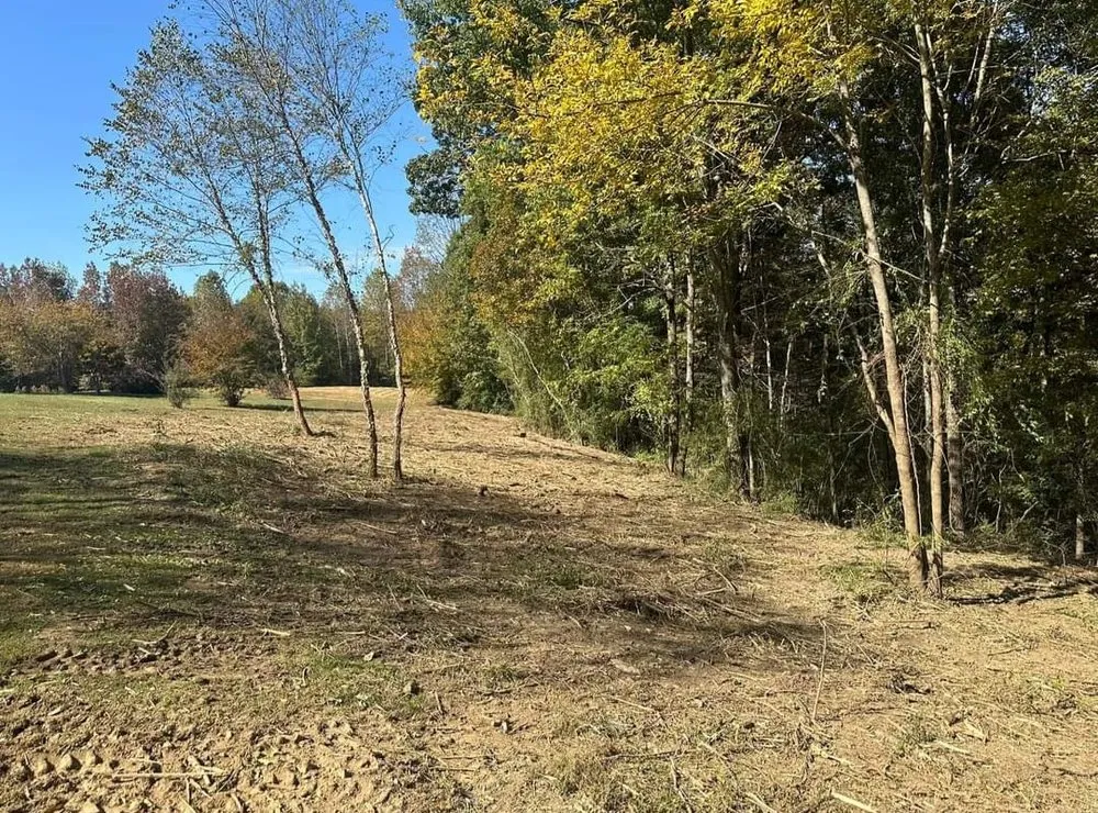 Reliable lawn care service in Cullman, AL - T&M Brush Busters