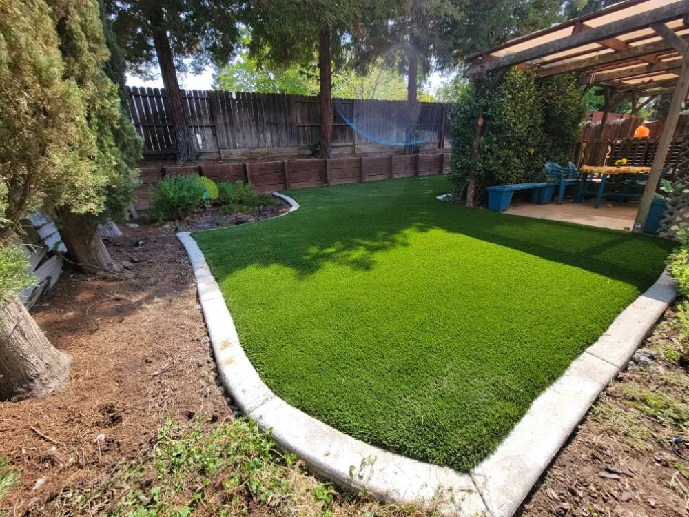 Professional yard cleanup service near you across Sacramento, CA - TM Concrete