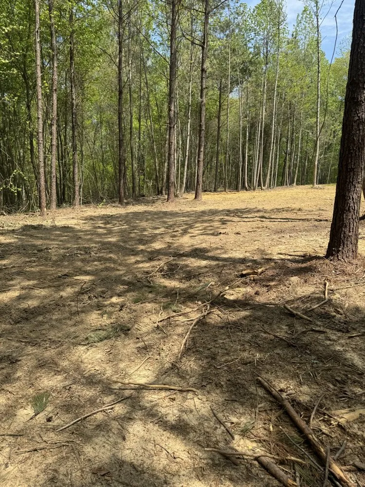 Affordable lawn mowing service for homes across Cohutta, GA - Tm Excavating