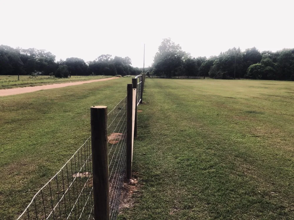 Trusted yard maintenance in Lucedale, MS by T&M Fencing Lawn & Landscaping