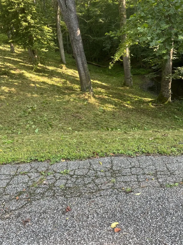 Affordable yard maintenance in Clendenin, WV - T&M Home Services