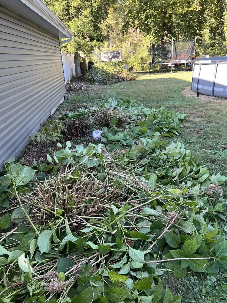 Custom lawn mowing service experts serving Clendenin, WV - T&M Home Services