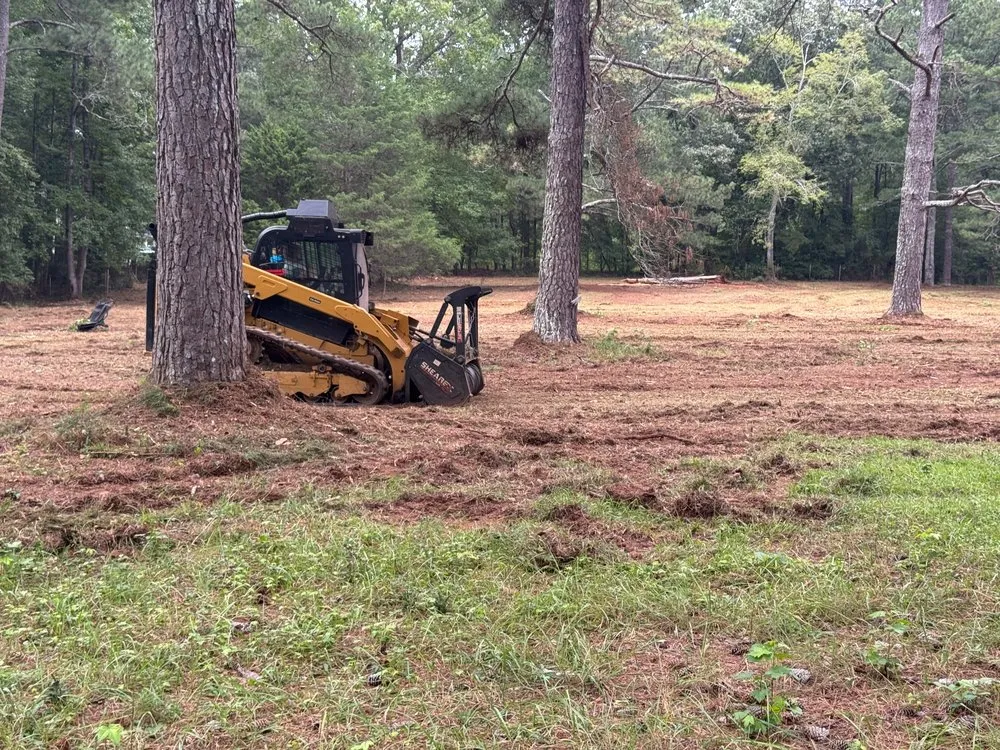 Local outdoor landscaping near you in Oxford, GA by TM Land Clearing