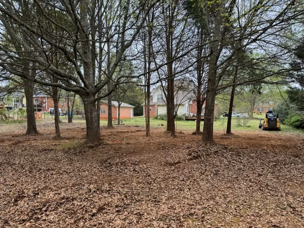 Reliable outdoor landscaping for year-round maintenance in Oxford, GA by TM Land Clearing