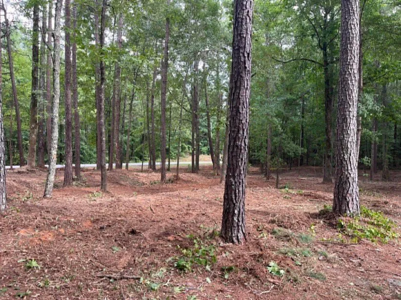 Expert yard cleanup service experts serving Oxford, GA - TM Land Clearing