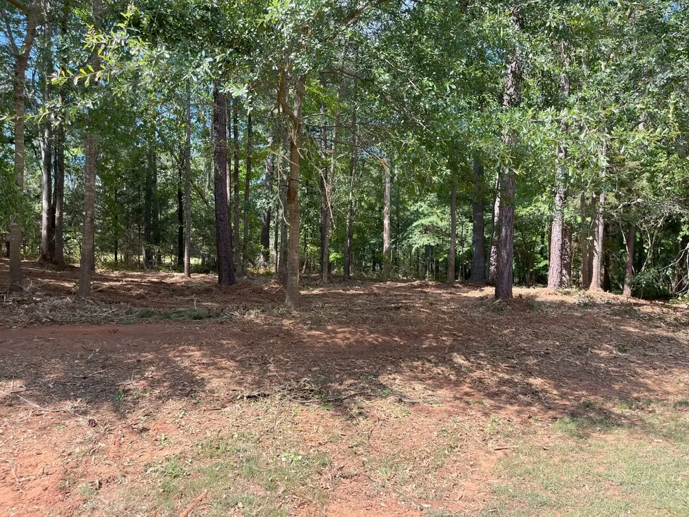 Expert lawn care service in Oxford, GA - TM Land Clearing