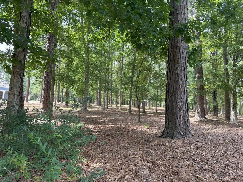 Custom yard maintenance with custom design across Oxford, GA - TM Land Clearing