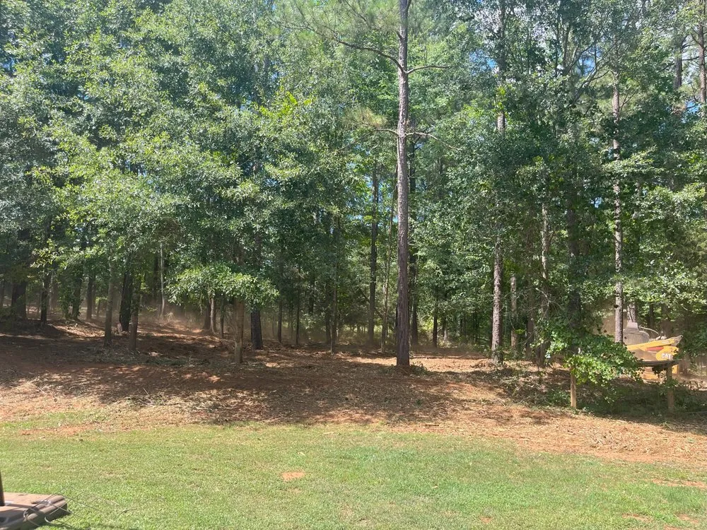 Expert lawn mowing service for year-round maintenance across Oxford, GA - TM Land Clearing
