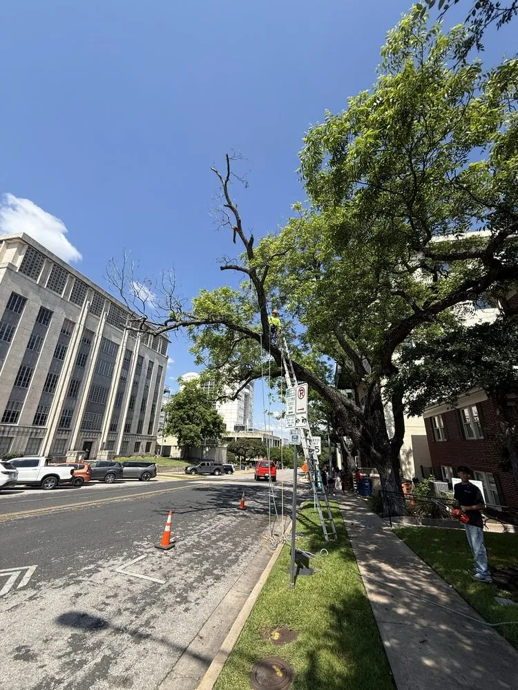 Local garden landscaping for outdoor upgrades across Austin, TX - TM Landscaping