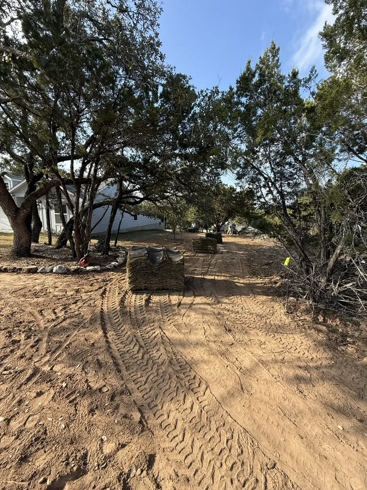 Trusted lawn care service experts serving Austin, TX - TM Landscaping