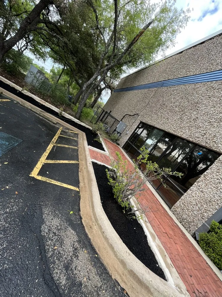 Reliable landscaping services in Austin, TX by TM Landscaping