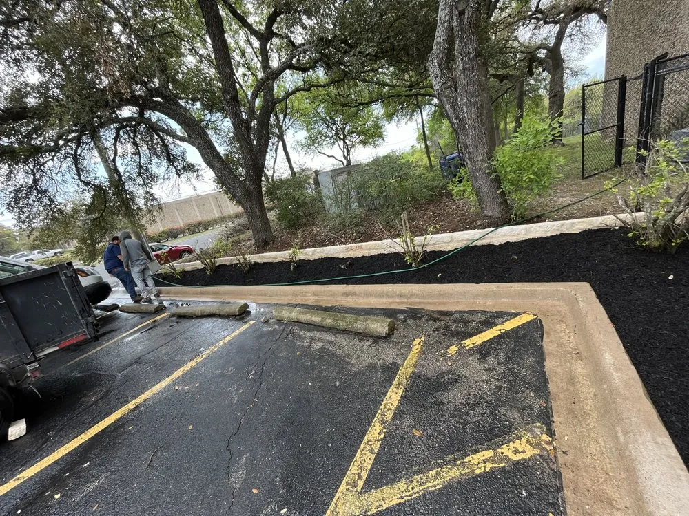 Local outdoor landscaping for year-round maintenance in Austin, TX by TM Landscaping