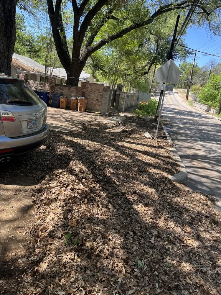 Expert yard cleanup service experts serving Austin, TX - TM Landscaping