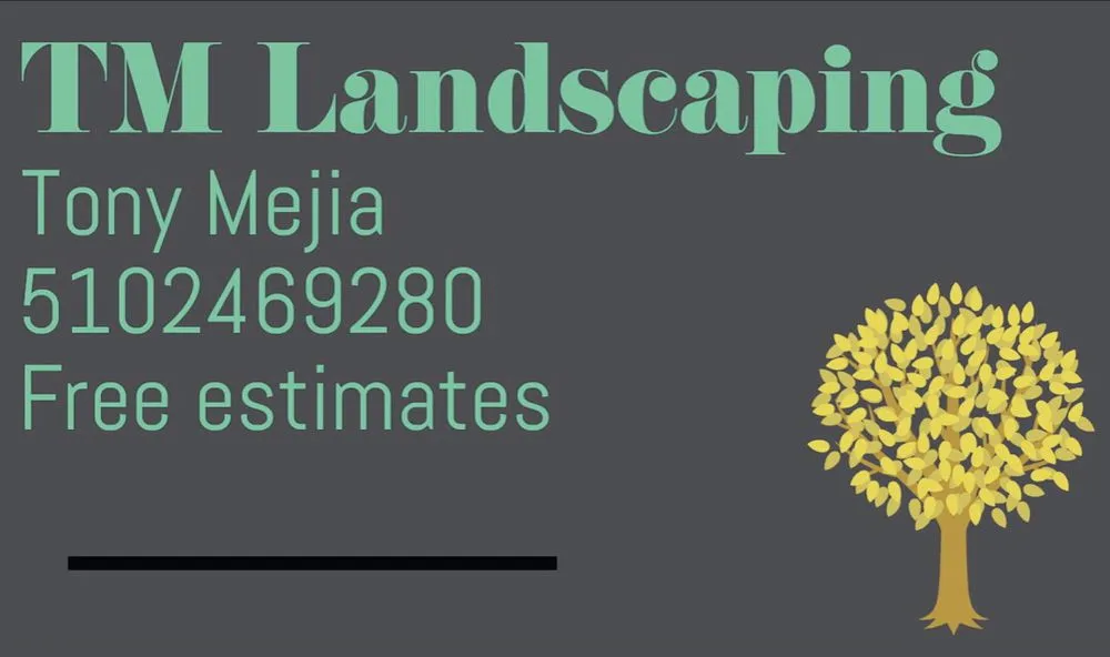 Professional residential landscaping in San Leandro, CA by TM Landscaping