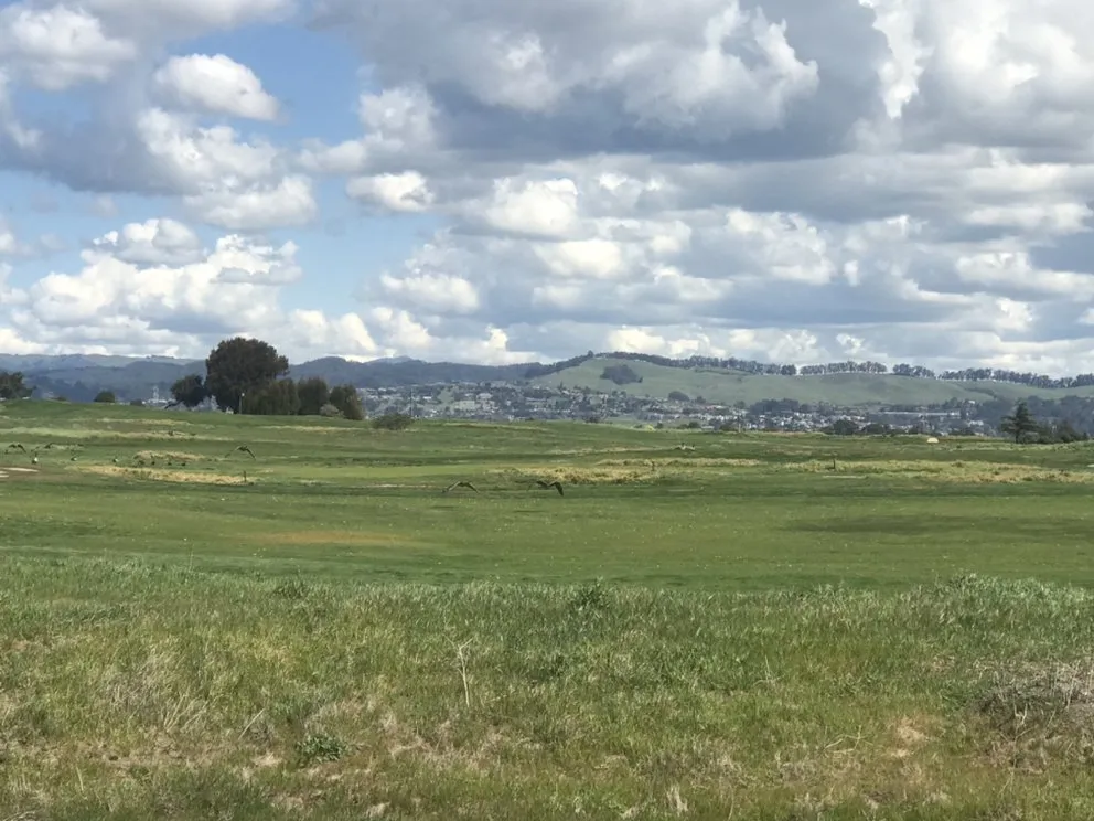 Professional outdoor landscaping in San Leandro, CA - TM Landscaping