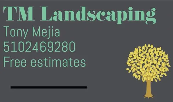 TM Landscaping Logo