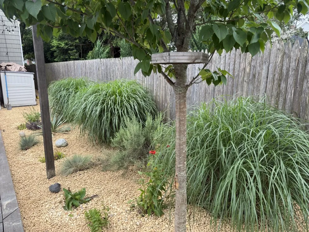 Top-rated landscape design experts serving Neptune City, NJ - T&M Landscaping Services