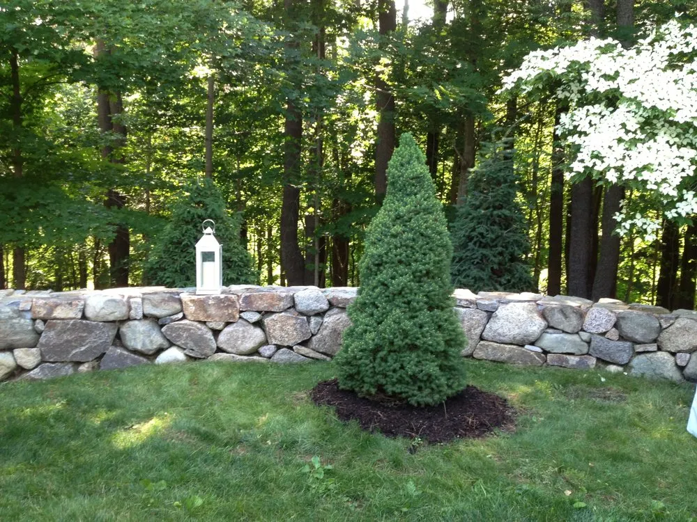 Custom lawn mowing service in South Hamilton, MA - TM Landscaping