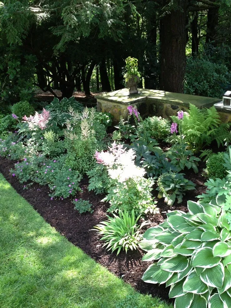 Expert lawn care service experts serving South Hamilton, MA - TM Landscaping