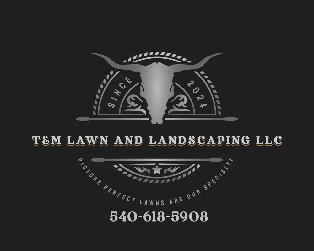Custom yard maintenance experts serving Fredericksburg, VA - T&M Lawn and Landscaping