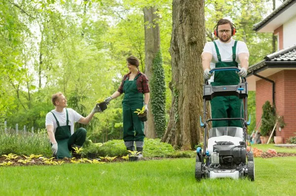 TM Lawn Care & Home Improvements Logo