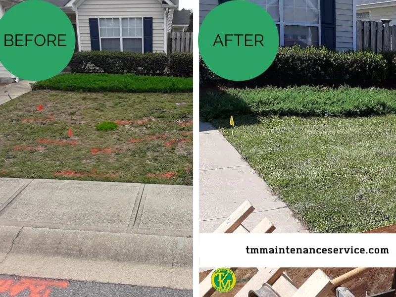 Professional garden landscaping with custom design across Columbia, SC - T/M Maintenance Service