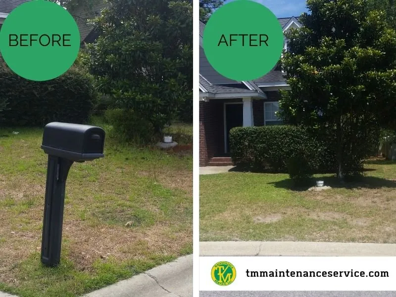 Expert landscaping services for beautiful yards in Columbia, SC by T/M Maintenance Service