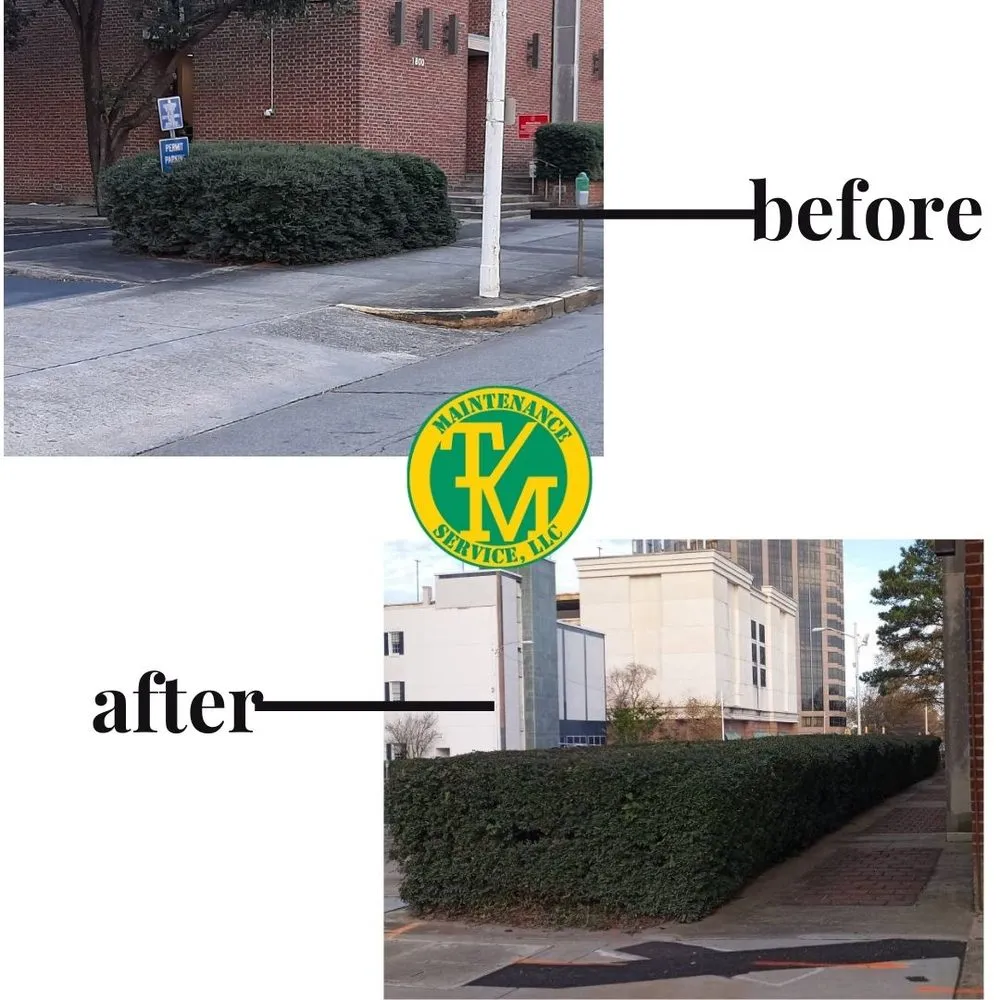 Expert outdoor landscaping experts serving Columbia, SC - T/M Maintenance Service