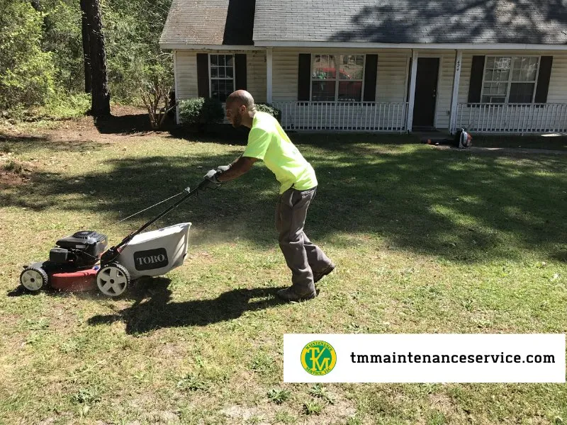 Reliable landscaping services for year-round maintenance across Columbia, SC - T/M Maintenance Service