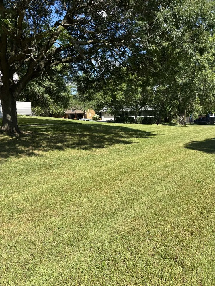 Local landscape design for outdoor upgrades in Madelia, MN by TM Outdoor Services