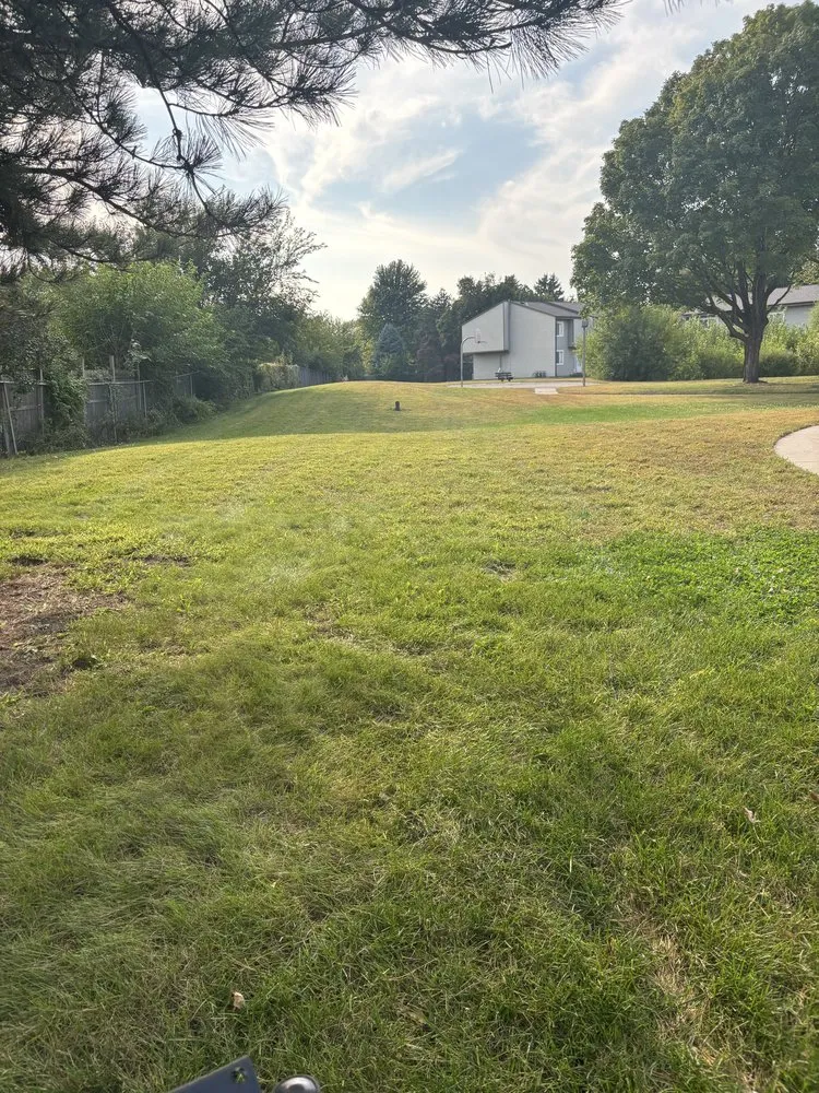 Top-rated outdoor landscaping for outdoor upgrades across Madelia, MN - TM Outdoor Services