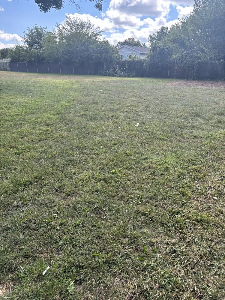 Expert outdoor landscaping for homes across Madelia, MN - TM Outdoor Services