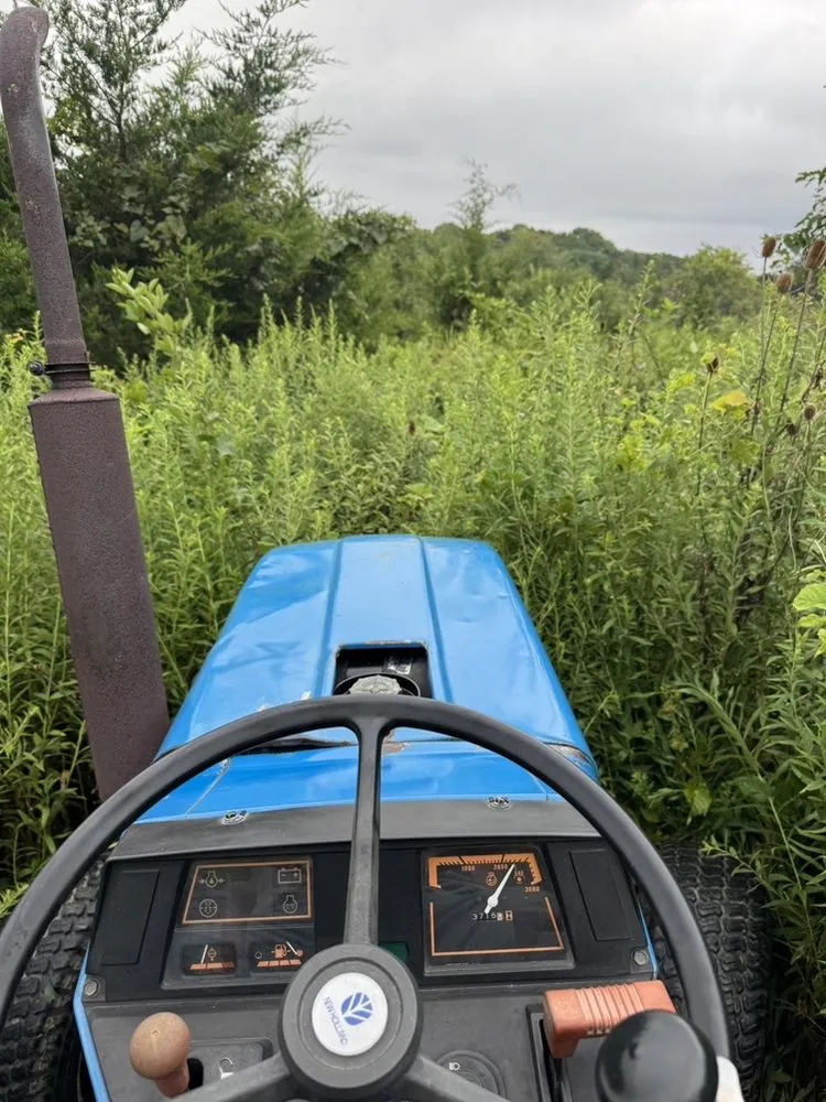 Reliable residential landscaping in Vevay, IN - T&M Property Solutions