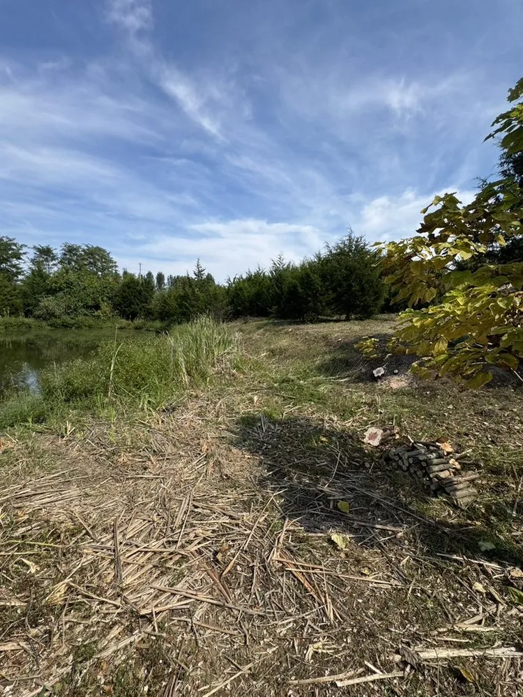 Expert outdoor landscaping in Vevay, IN - T&M Property Solutions