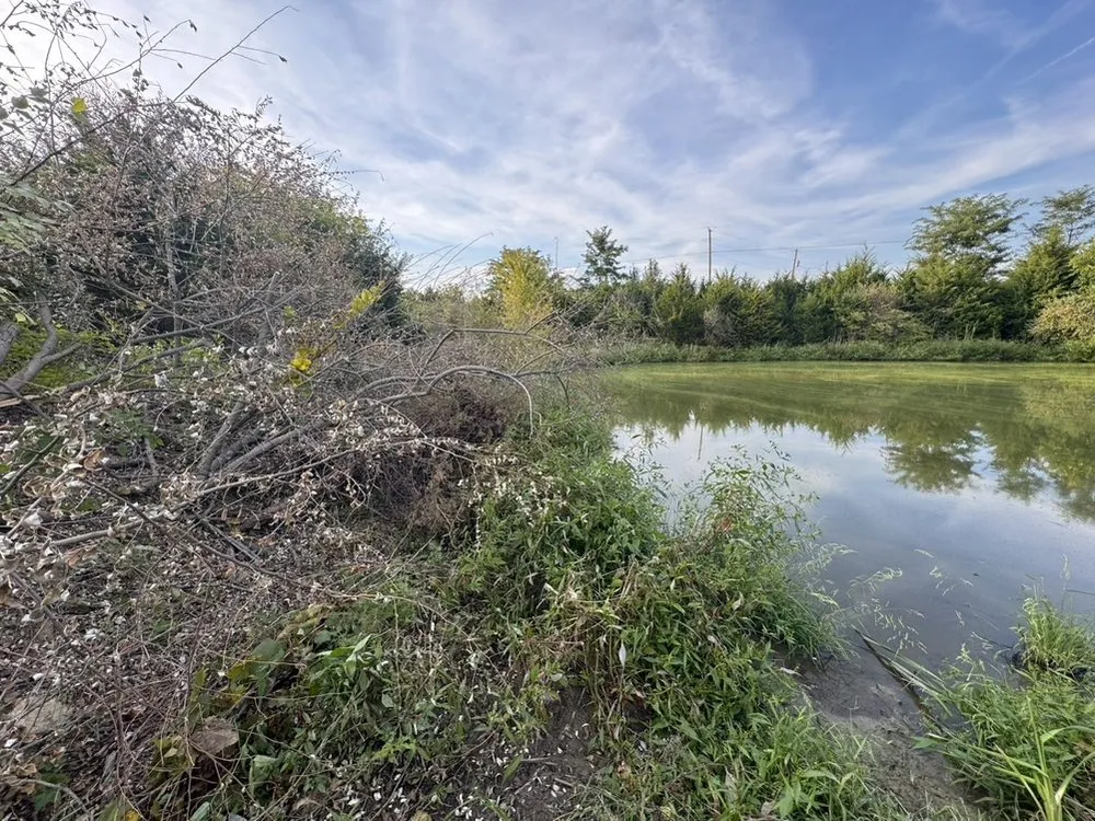 Local residential landscaping experts serving Vevay, IN - T&M Property Solutions