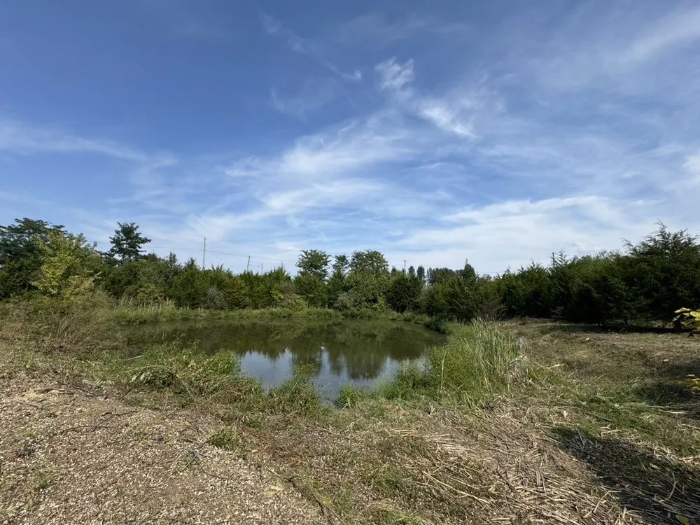 Expert lawn mowing service in Vevay, IN - T&M Property Solutions