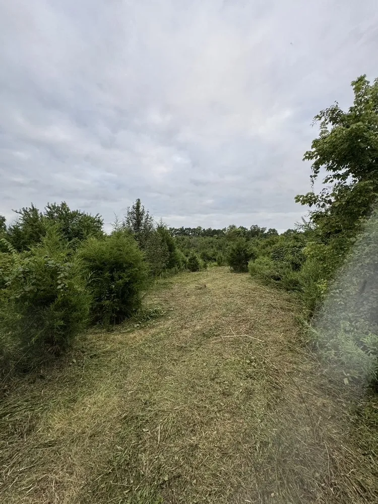 Reliable landscaping services experts serving Vevay, IN - T&M Property Solutions