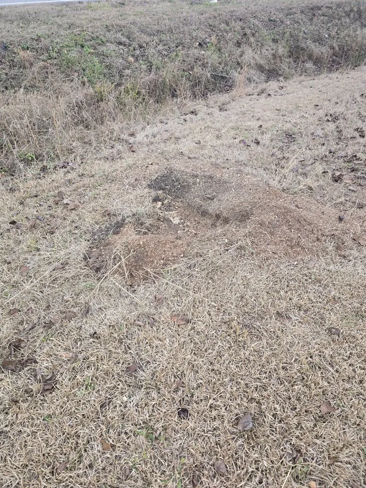 Custom yard maintenance for residential properties in Bolivia, NC by T&M Solutions
