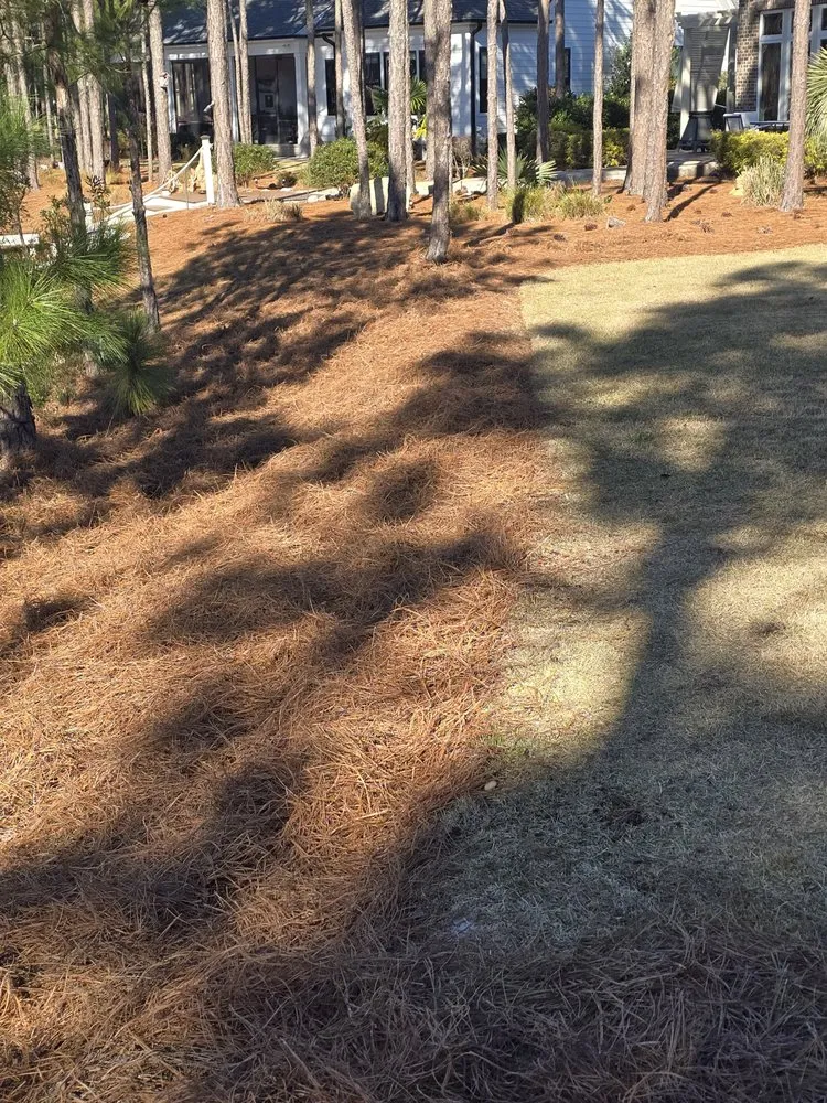 Top-rated landscaping services in Bolivia, NC by T&M Solutions