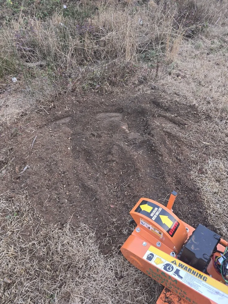 Affordable landscape installation for year-round maintenance in Bolivia, NC by T&M Solutions