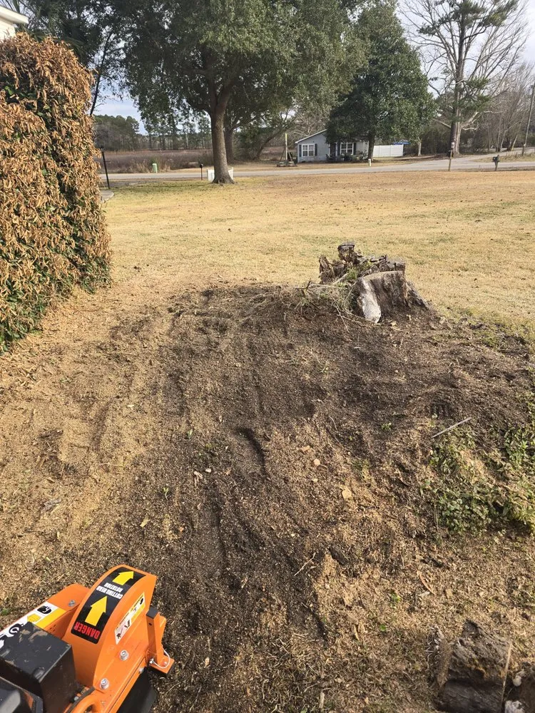 Affordable yard cleanup service experts serving Bolivia, NC - T&M Solutions