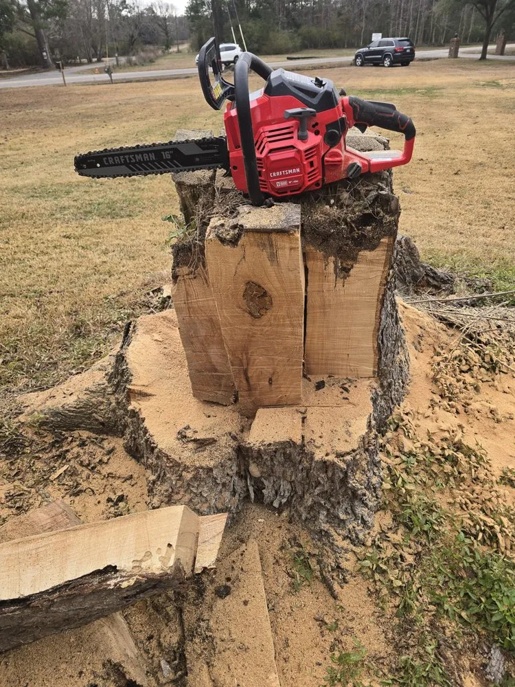 Reliable yard maintenance in Bolivia, NC by T&M Solutions
